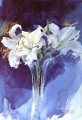 ヴィタ・リルヨル スウェーデンの第一人者画家 アンダース・ゾーン 印象派の花